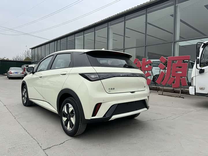 Фото 12 - BYD Dolphin