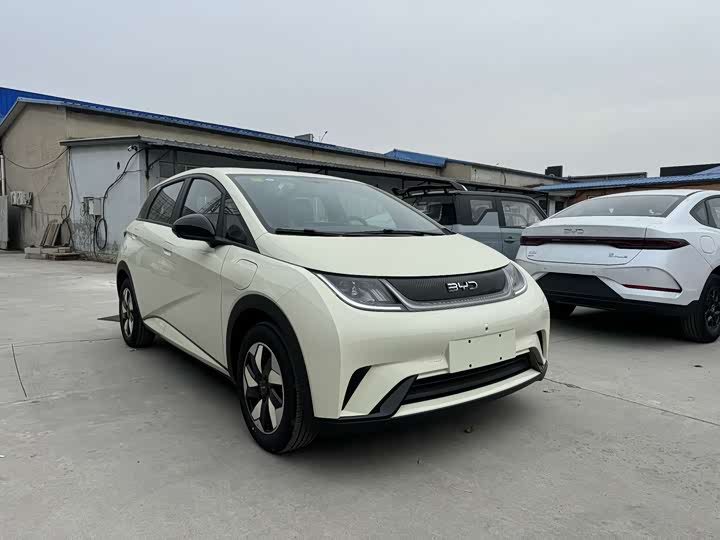 Фото 3 - BYD Dolphin