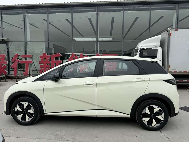 Фото 6 - BYD Dolphin