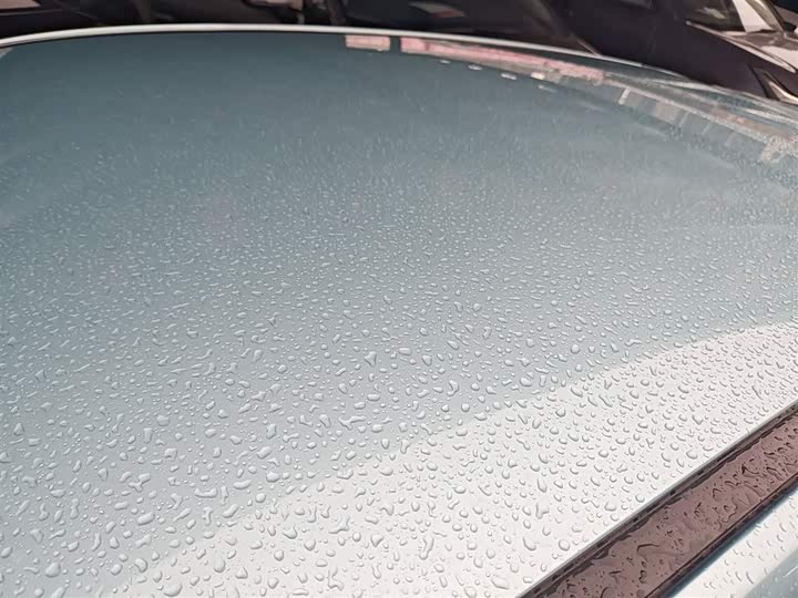 Фото 27 - Hozon V