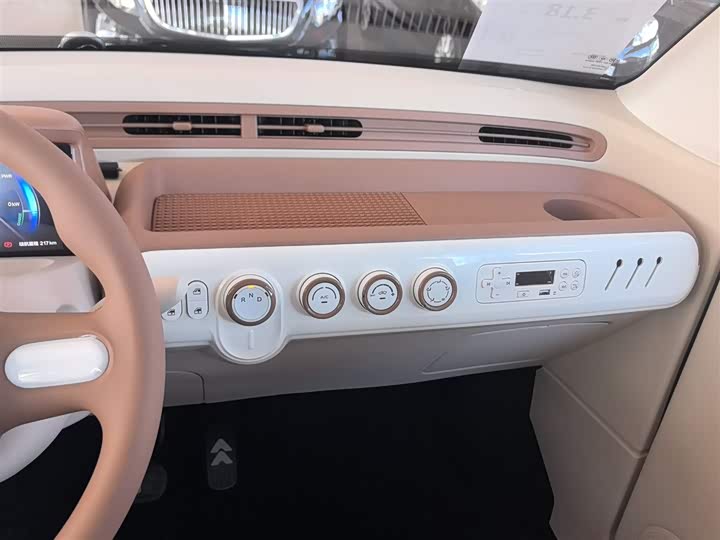 Фото 13 - Bestune Pony