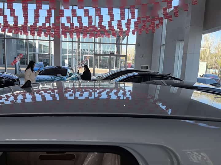 Фото 27 - Bestune Pony