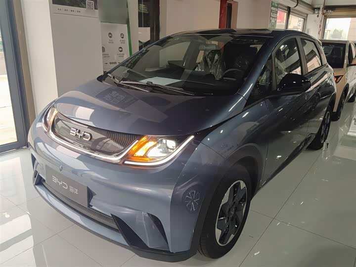 Фото 1 - BYD Dolphin