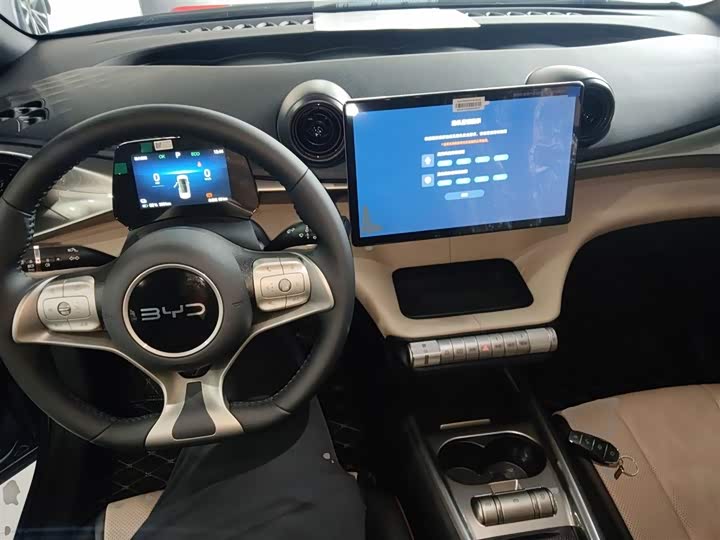 Фото 10 - BYD Dolphin