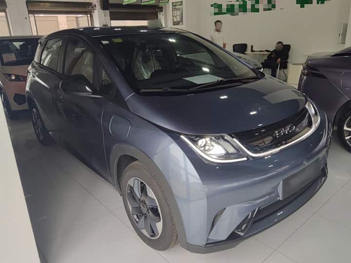 Фото 4 - BYD Dolphin