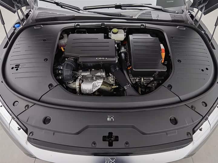 Фото 6 - BYD Han