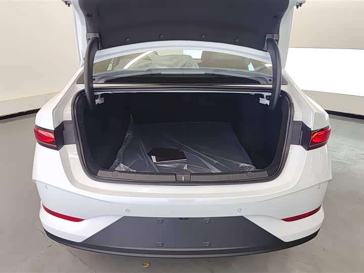 Фото 4 - BYD Qin Plus