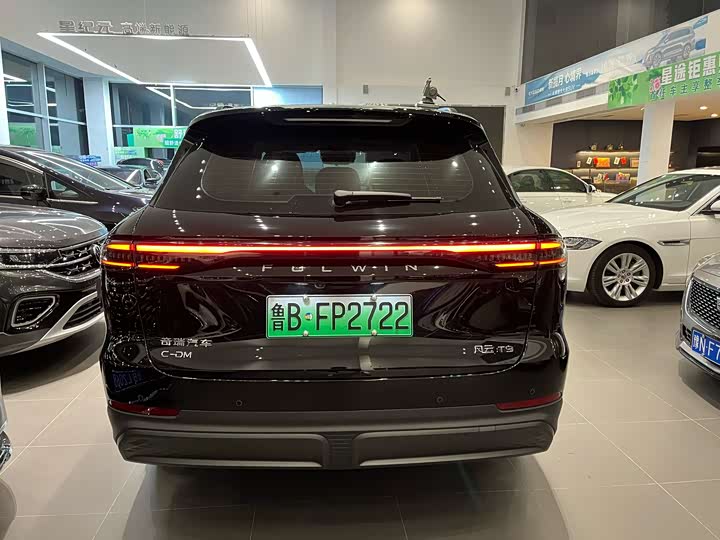 Фото 4 - Chery Fulwin T9