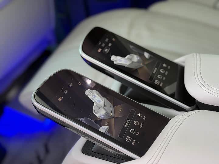 Фото 10 - Buick GL8 Century