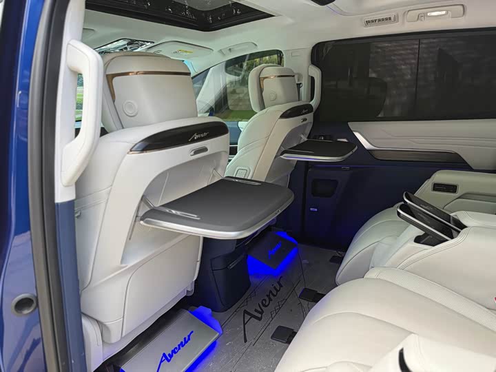 Фото 11 - Buick GL8 Century