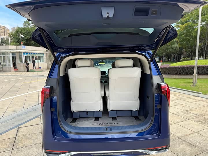 Фото 19 - Buick GL8 Century