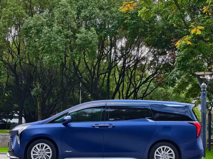 Фото 3 - Buick GL8 Century