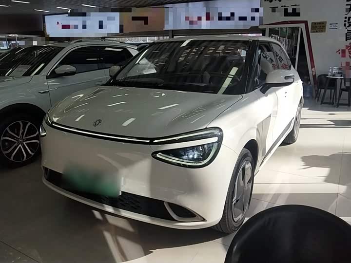 Фото 1 - Dongfeng Nammi 01