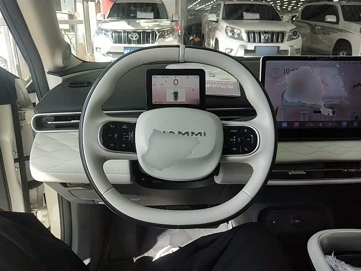 Фото 11 - Dongfeng Nammi 01