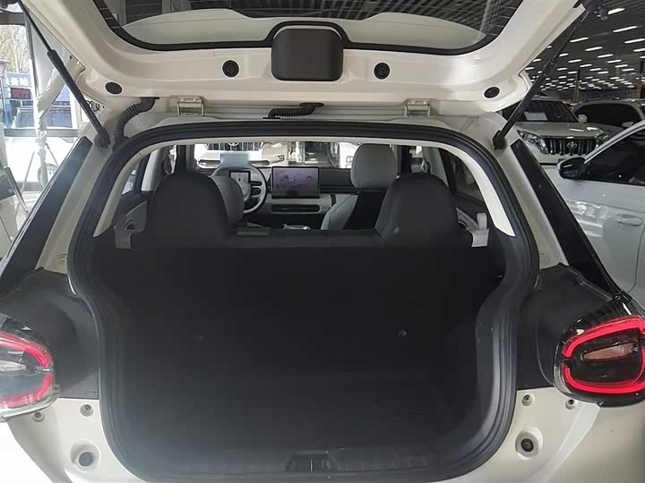 Фото 19 - Dongfeng Nammi 01