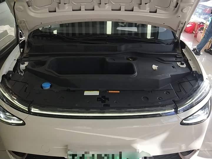 Фото 20 - Dongfeng Nammi 01