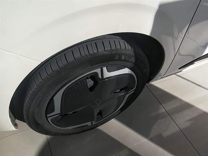 Фото 23 - Dongfeng Nammi 01