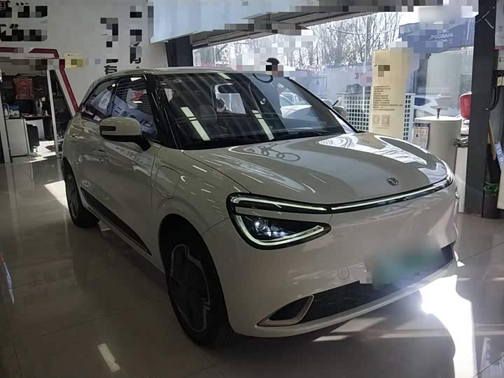 Фото 4 - Dongfeng Nammi 01