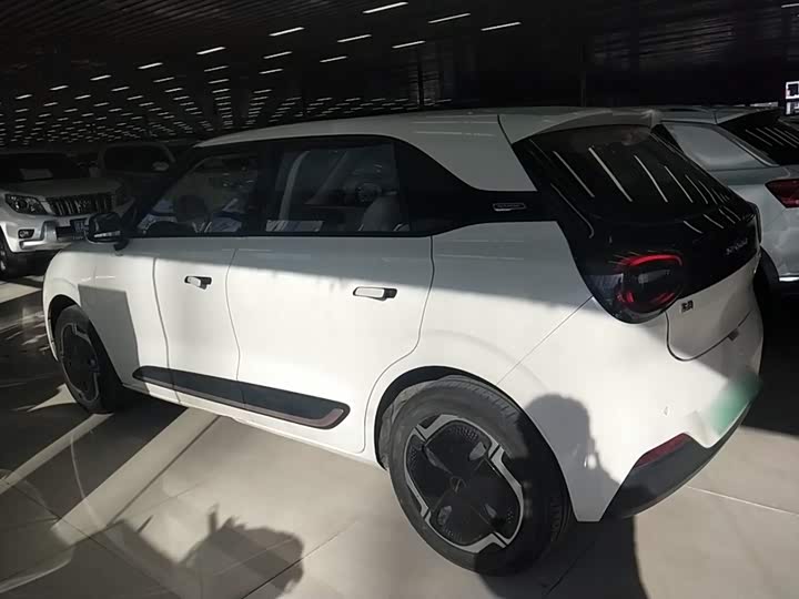 Фото 5 - Dongfeng Nammi 01