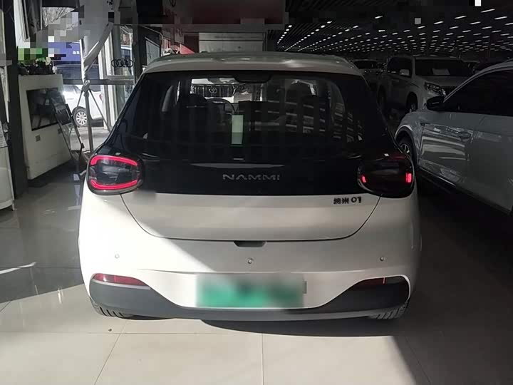 Фото 6 - Dongfeng Nammi 01