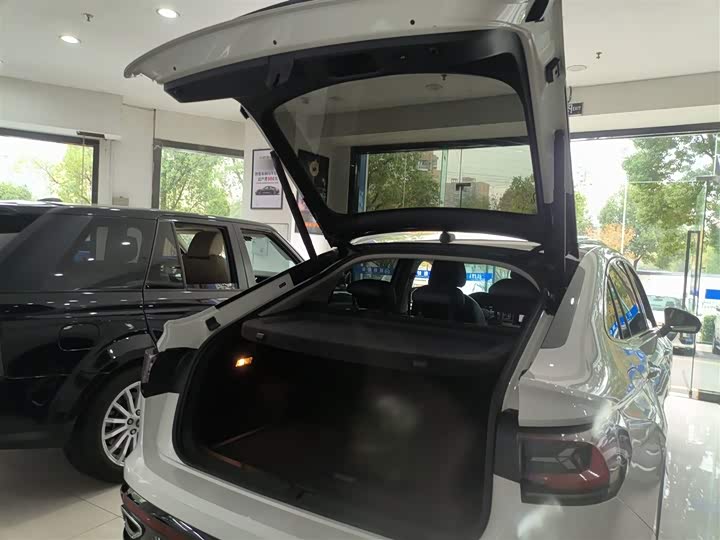 Фото 19 - Volkswagen Tiguan X