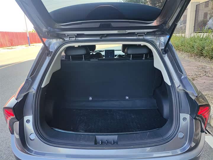 Фото 19 - Hozon V