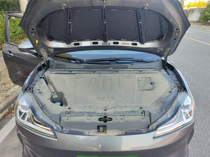 Фото 20 - Hozon V