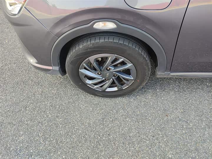 Фото 23 - Hozon V