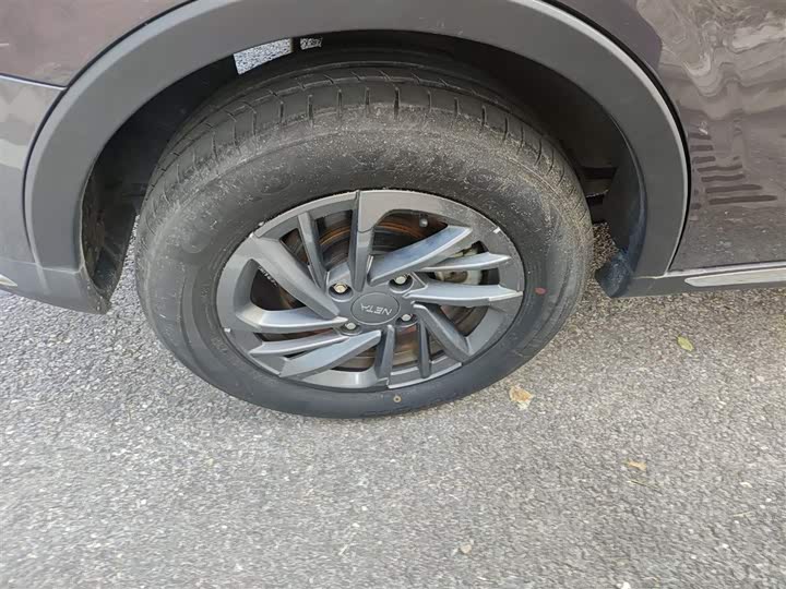 Фото 26 - Hozon V