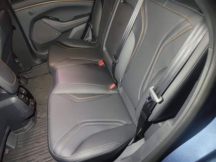 Фото 15 - Ford Mustang Mach-E