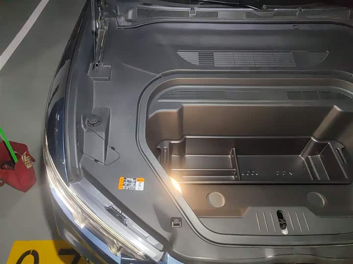 Фото 21 - Ford Mustang Mach-E