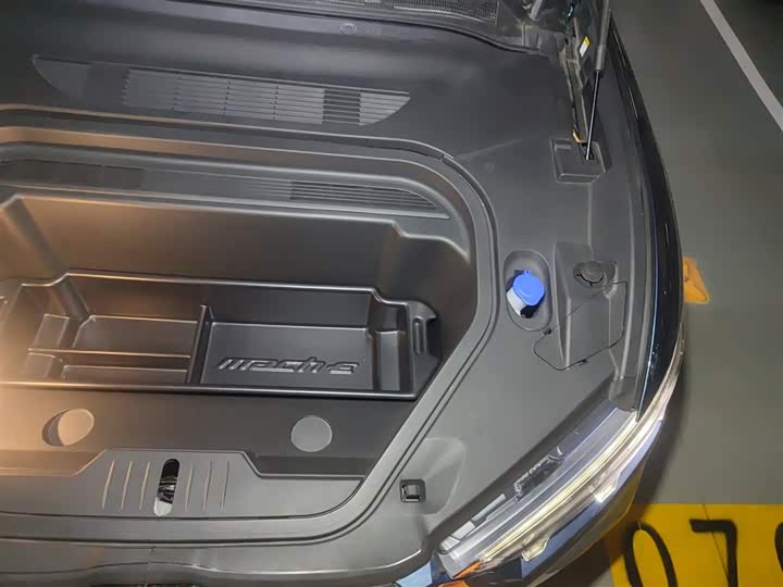 Фото 22 - Ford Mustang Mach-E