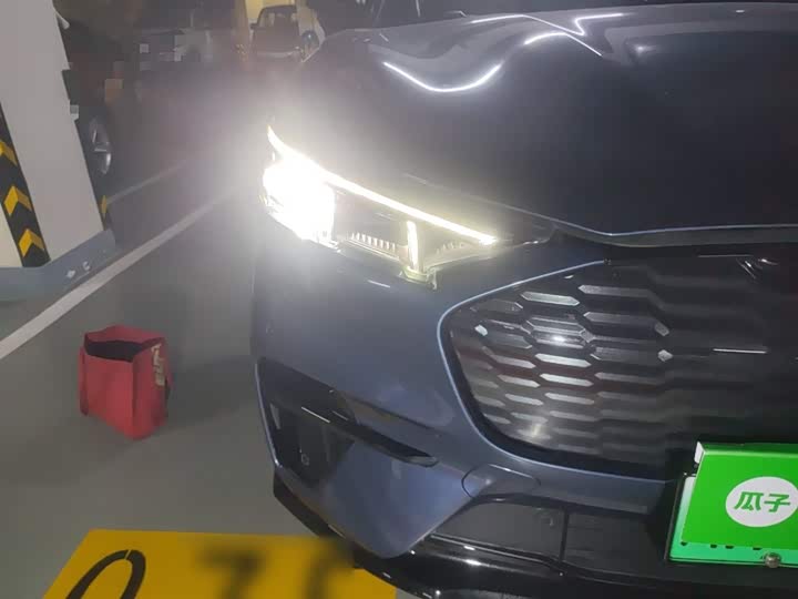 Фото 30 - Ford Mustang Mach-E