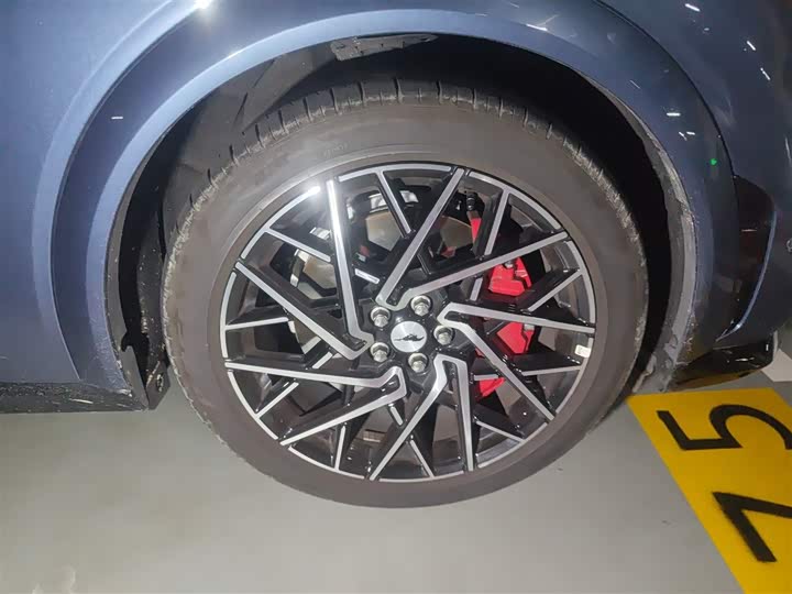 Фото 31 - Ford Mustang Mach-E