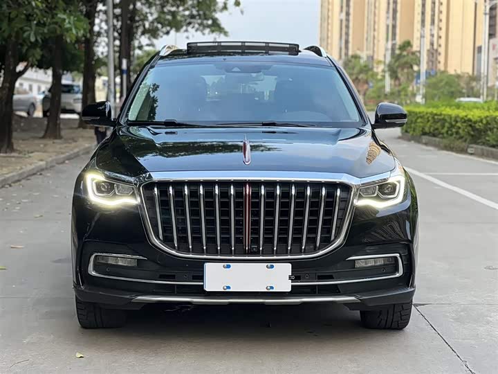 Фото 2 - Hongqi HS7