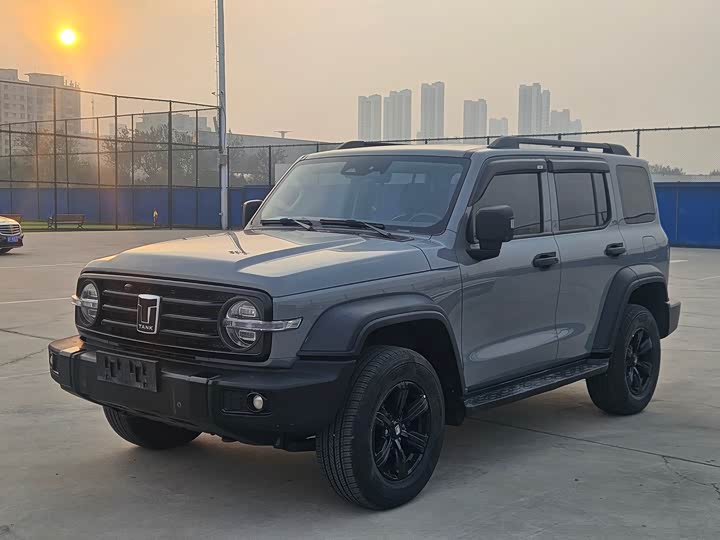 Фото 1 - Tank 300