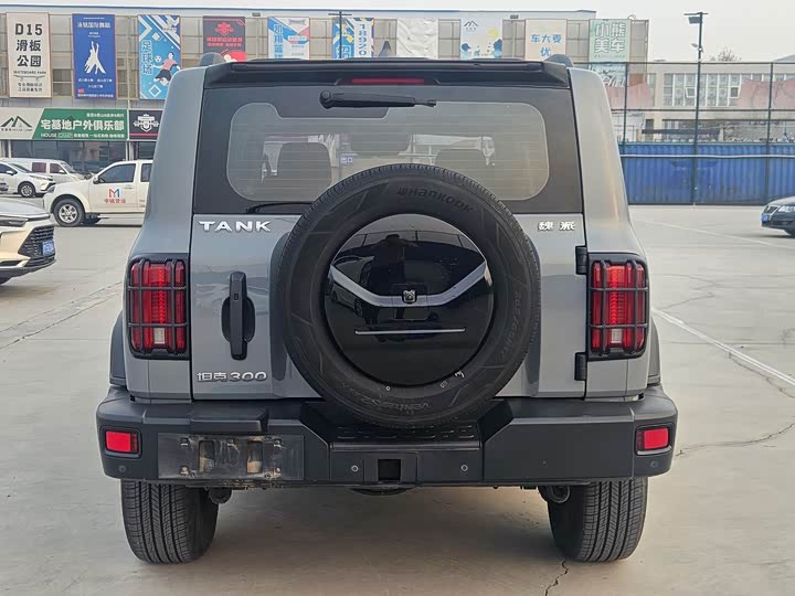 Фото 5 - Tank 300