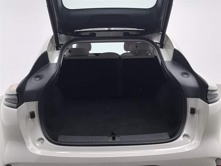 Фото 16 - IM motors LS6