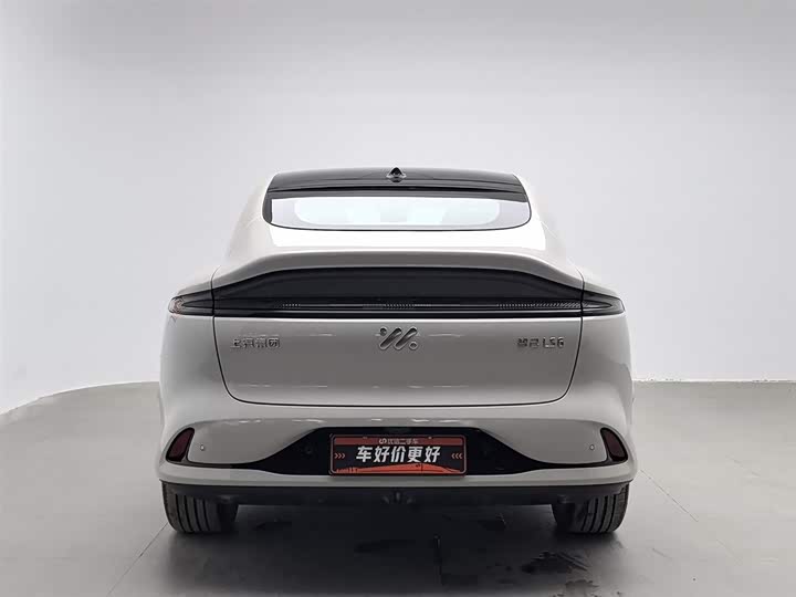 Фото 4 - IM motors LS6