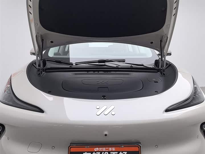 Фото 6 - IM motors LS6