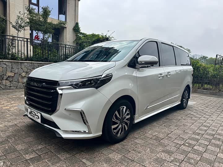 Фото 1 - Maxus G20