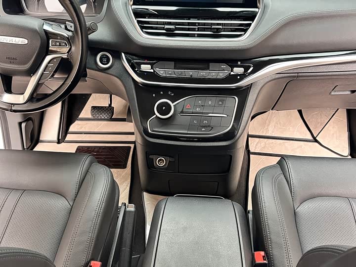 Фото 37 - Maxus G20