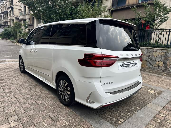 Фото 7 - Maxus G20