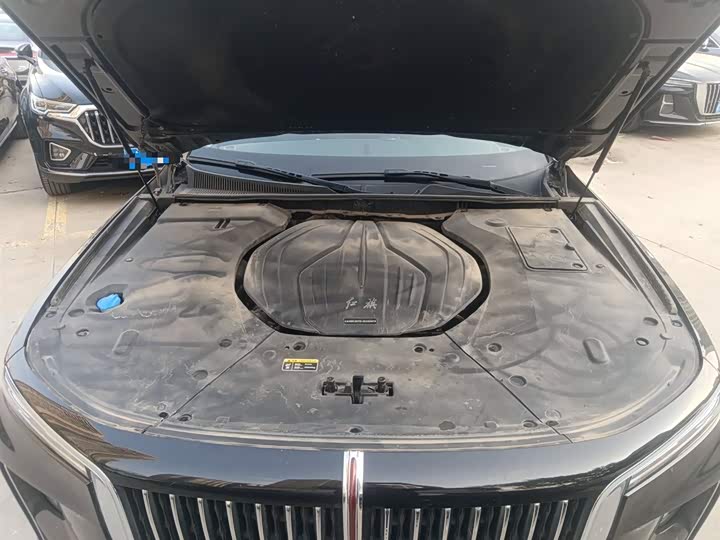 Фото 27 - Hongqi H9