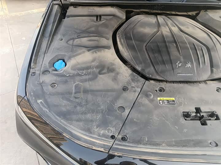 Фото 28 - Hongqi H9