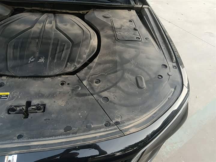 Фото 29 - Hongqi H9