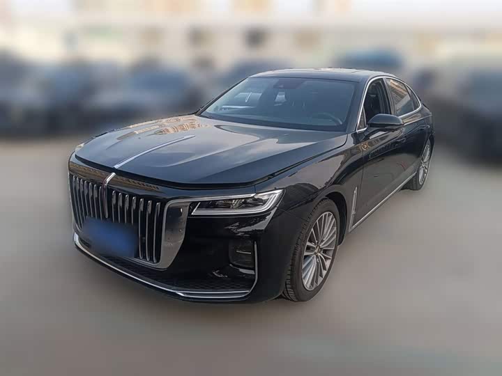 Фото 3 - Hongqi H9