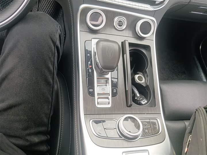 Фото 21 - Hongqi H9