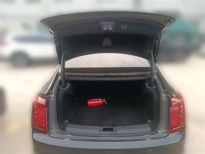 Фото 26 - Hongqi H9