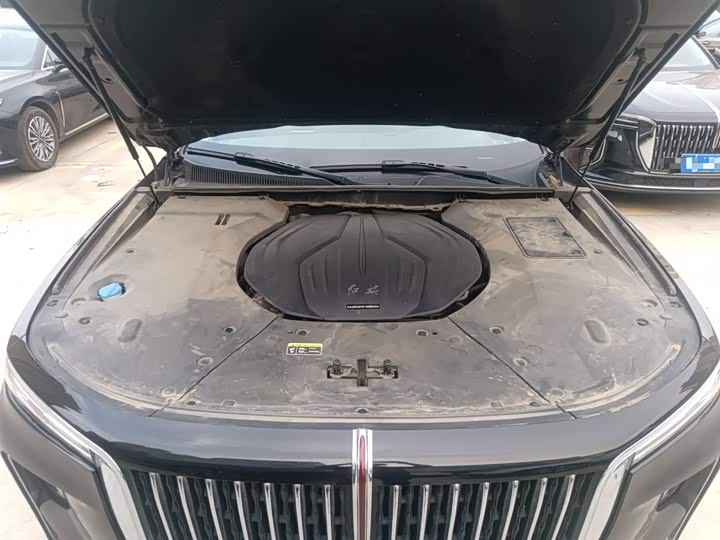 Фото 27 - Hongqi H9